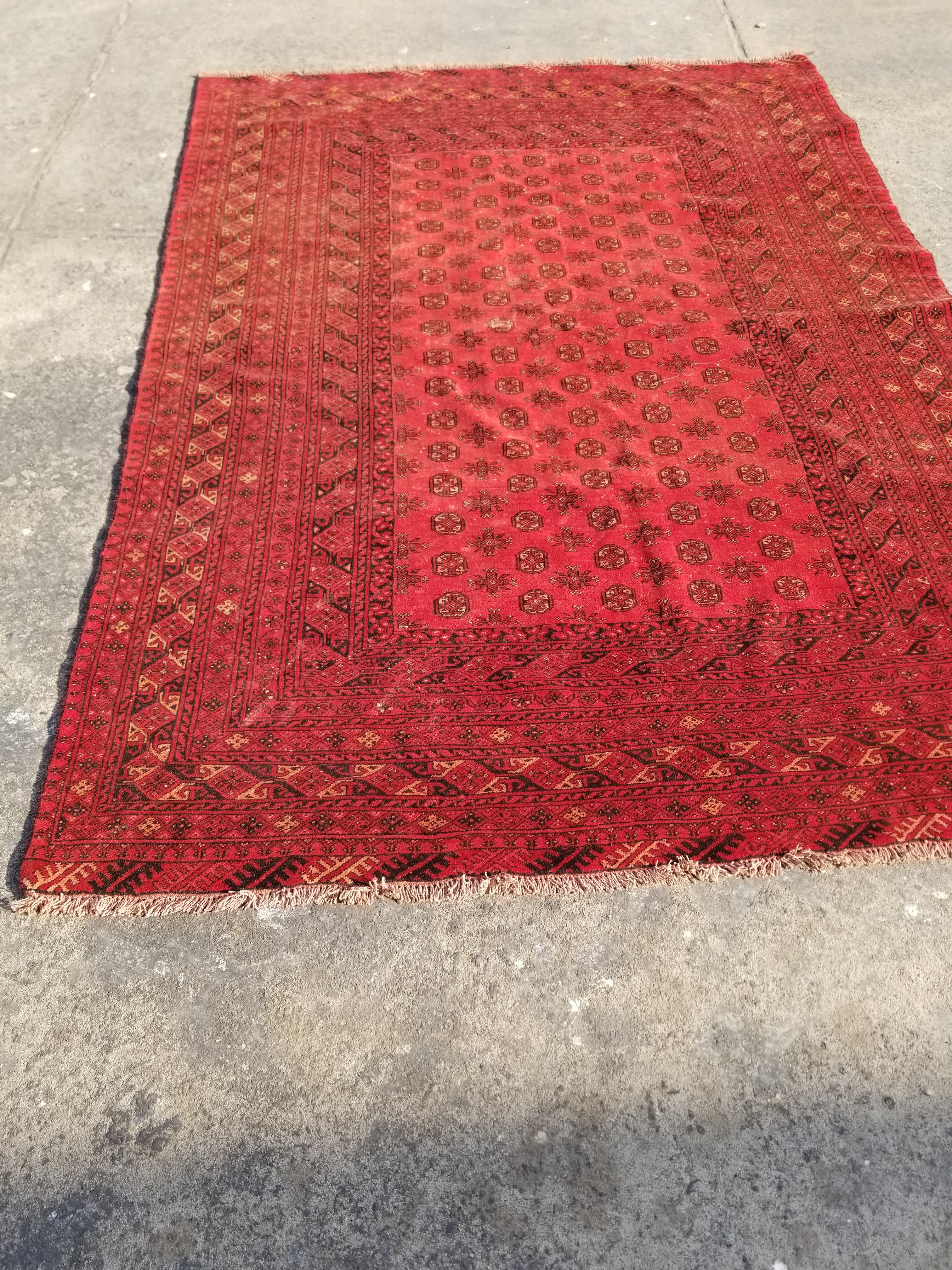 Antique Traditional Handmade Turkoman Ersari Wool Multicolor Rug 284x203cm