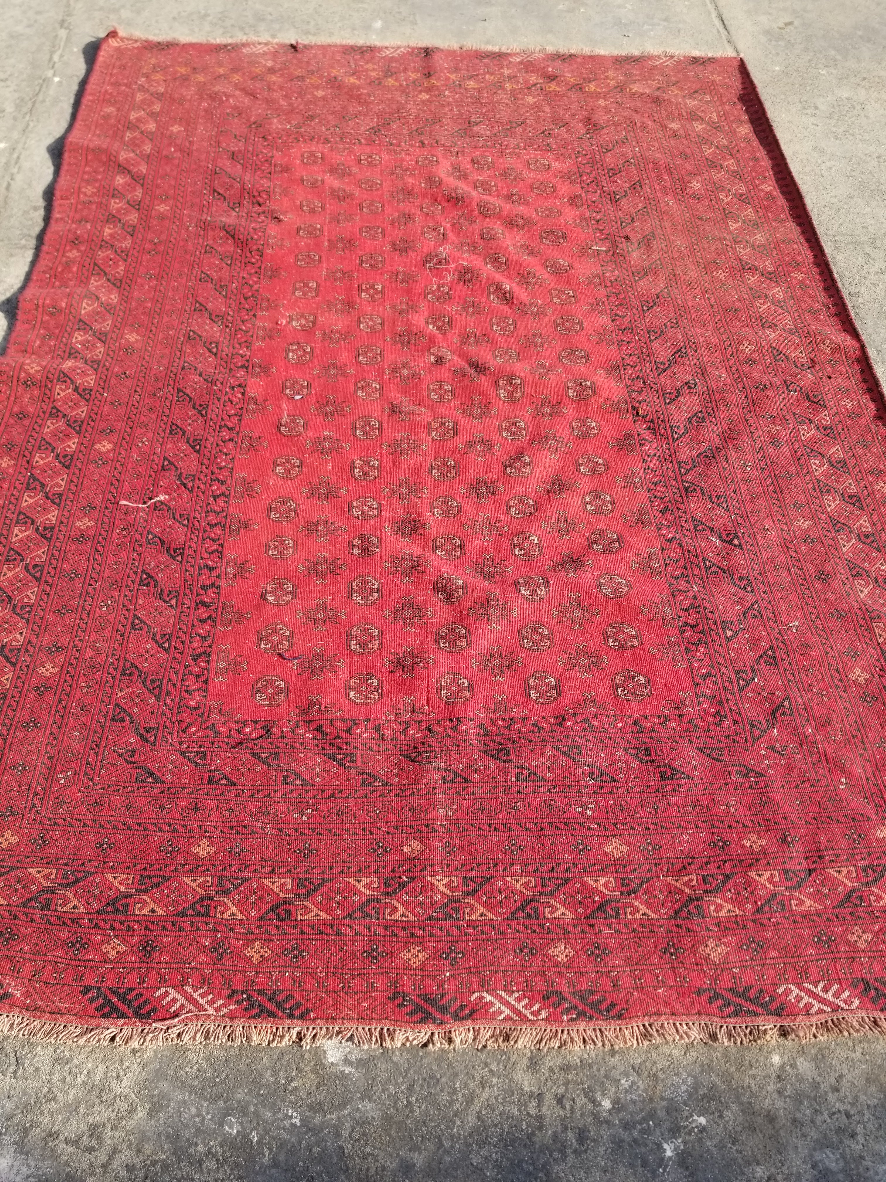 Antique Traditional Handmade Turkoman Ersari Wool Multicolor Rug 284x203cm
