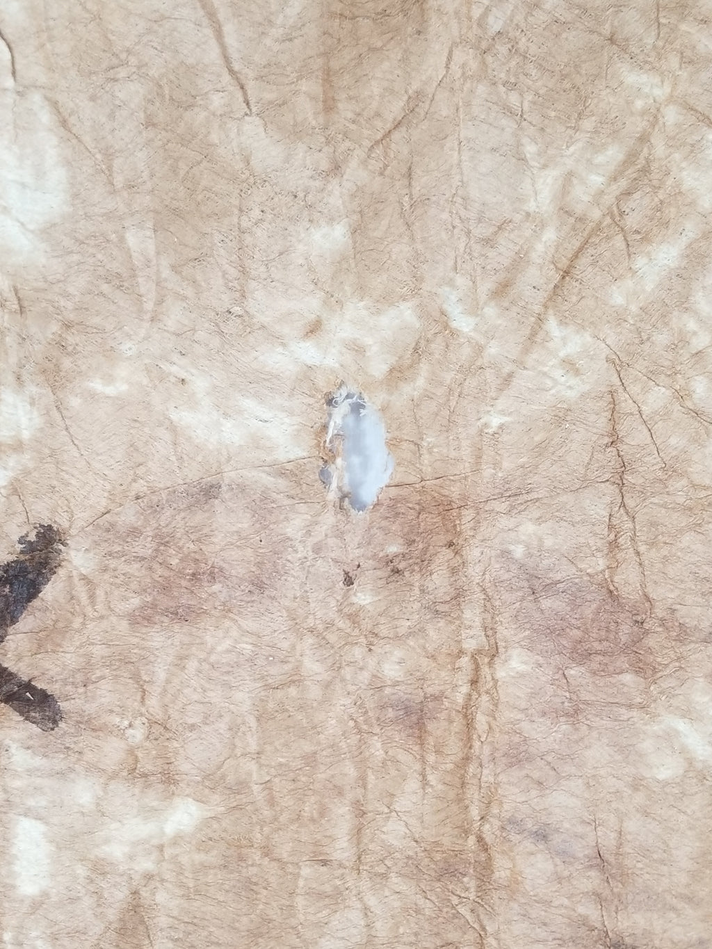 Antique Traditional Polynesian Tapa Bark Cloth 417x244cm