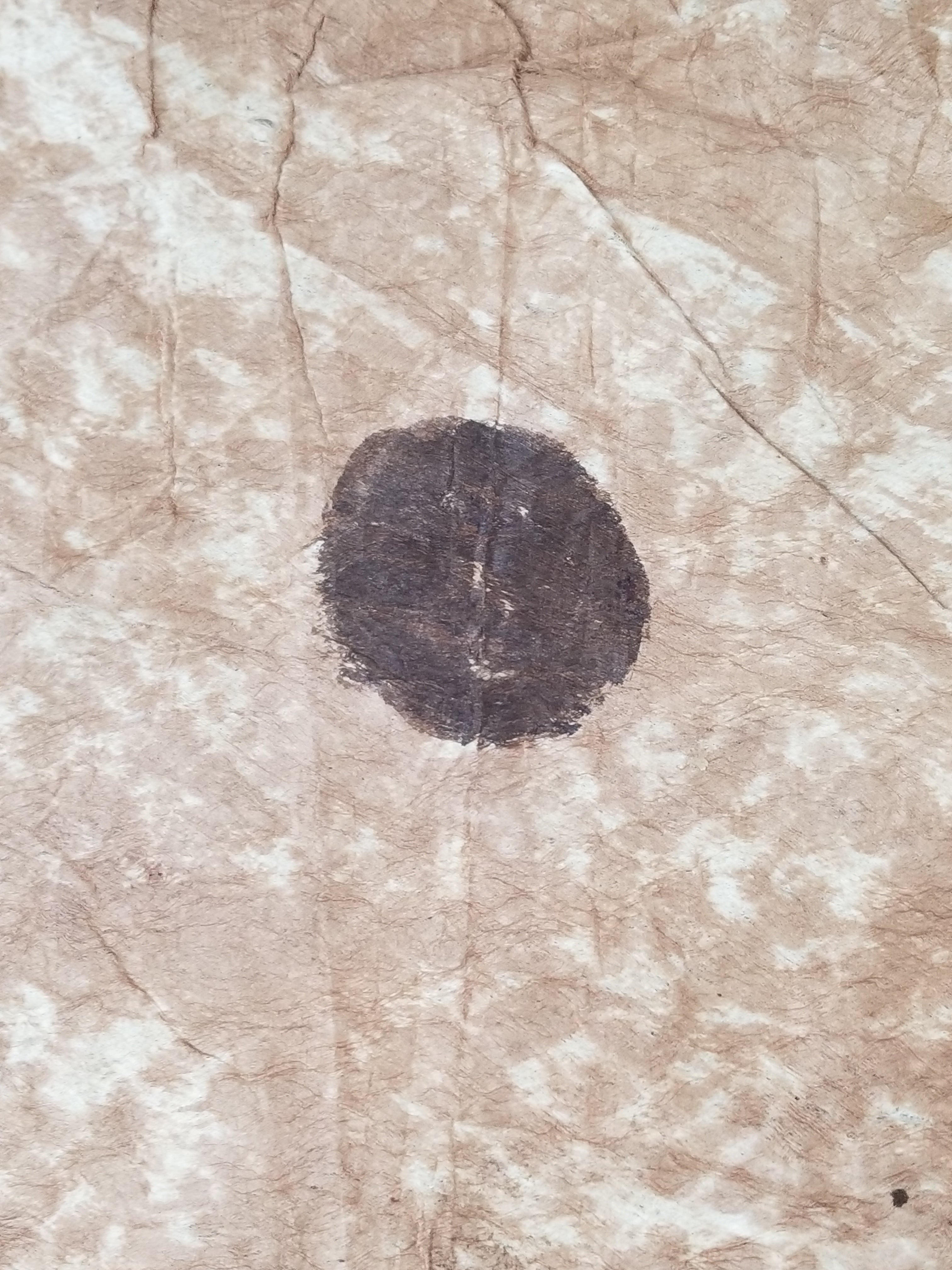 Antique Traditional Polynesian Tapa Bark Cloth 417x244cm