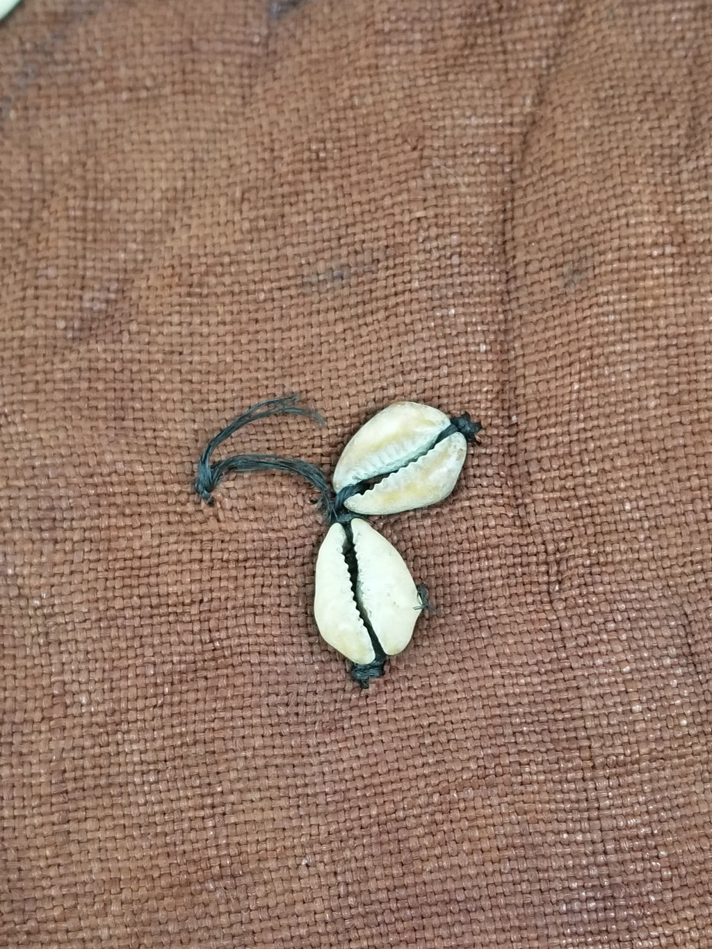 Antique African Cowrie Shells & Embroidered Kuba Cloth Raffia Textile 155x61cm